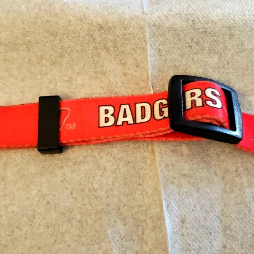 NCAA Officially Licensed Wisconsin Badgers Dog Collar Size Large